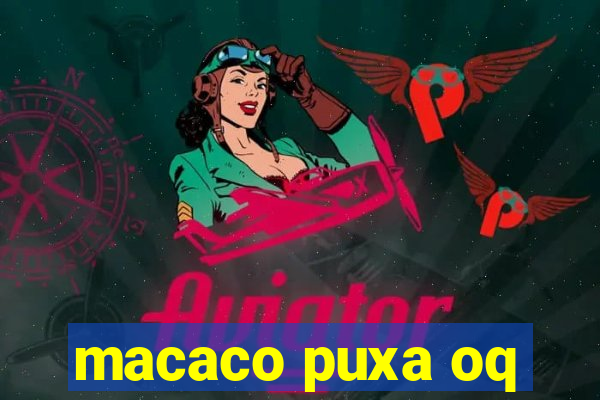 macaco puxa oq